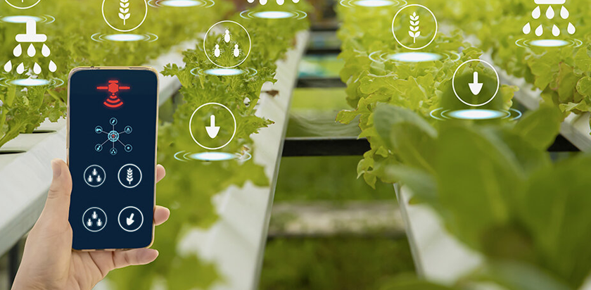 Temperature Instruments