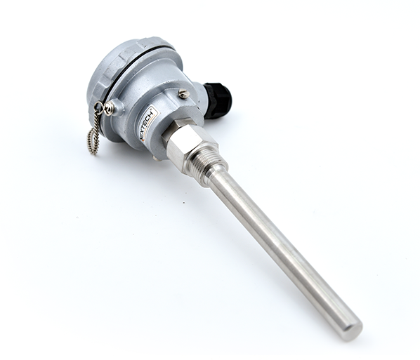 Temperature Sensor Immersion